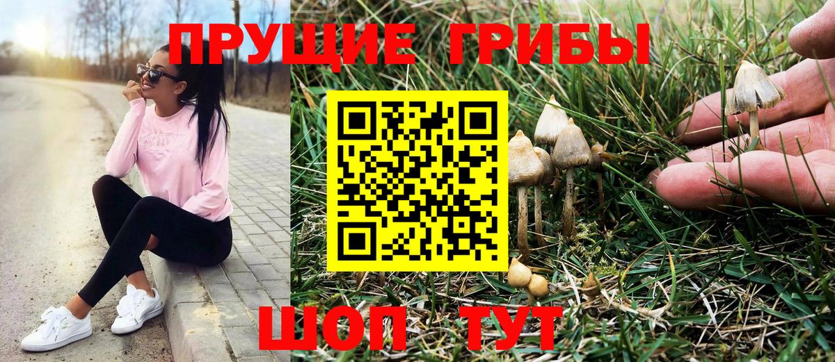 Псилоцибиновые грибы Magic Shrooms  Галлюциногенные грибы GOLDEN TEACHER  Вход с VPN  Мелеуз 